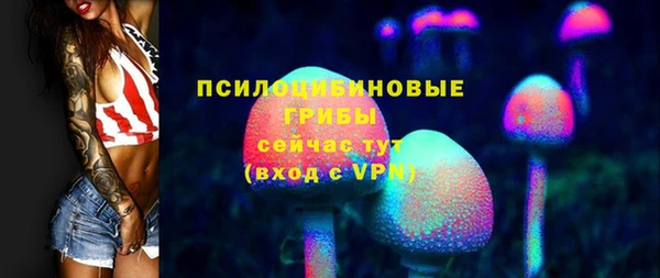 трава Аркадак