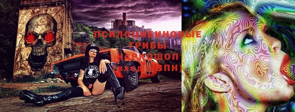 спиды Арсеньев