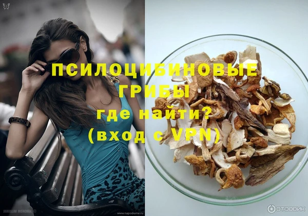 спиды Арсеньев