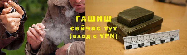 гашик Алексеевка